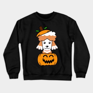 Funny poodle is in a pumpkin Crewneck Sweatshirt